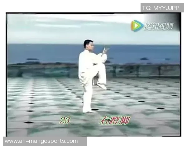 “太极王子”陈思坦等现身硅谷 推动武医深度交融